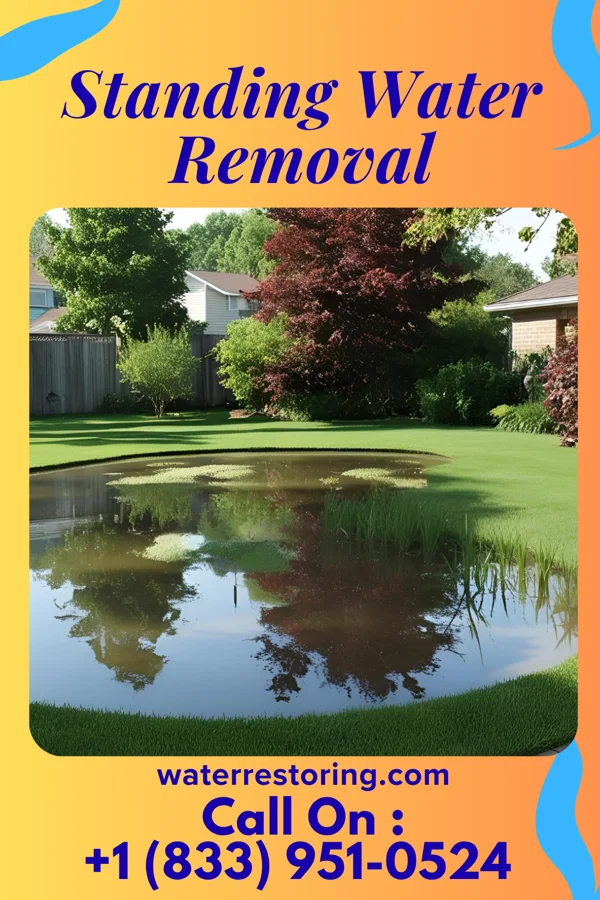 Standing Water Removal in Mallard Bay, OK